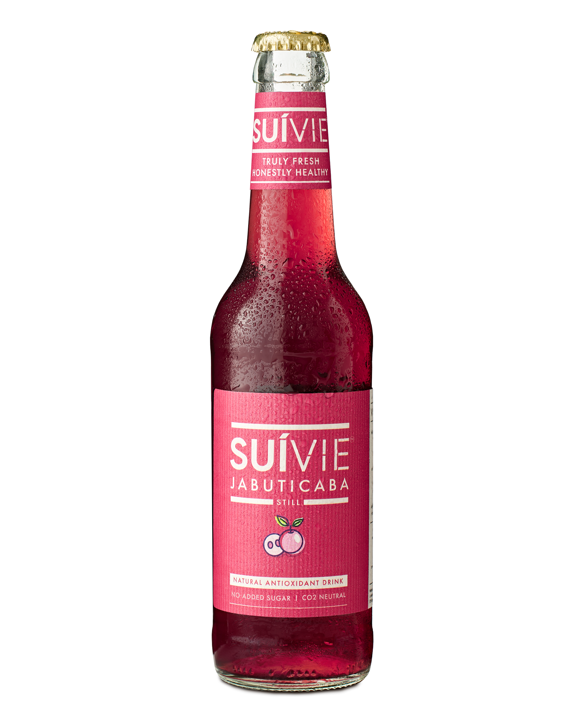 suivie-still-glass-newIII